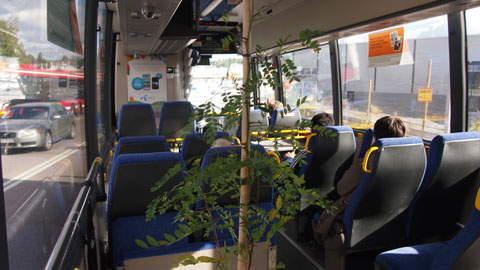 BluePlanet_buss