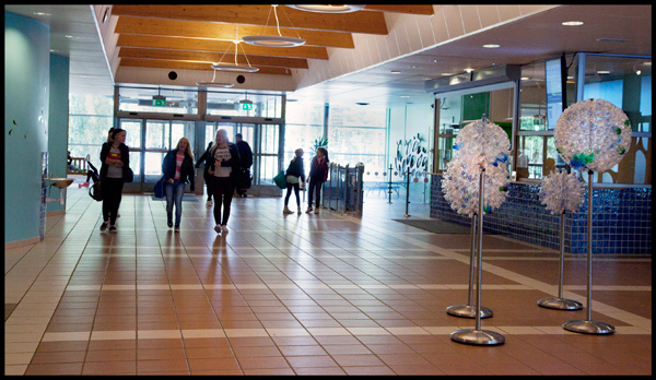 haninge_adzuki_004