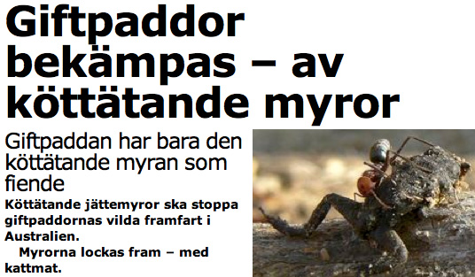 collision_giftpaddor