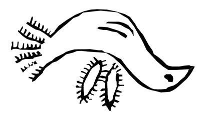 deandra_fagel