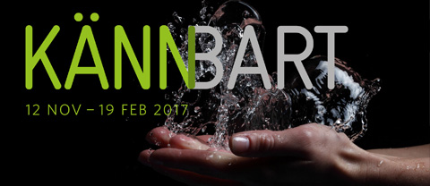 curator_kannbart_08