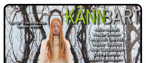 curator_kannbart_10