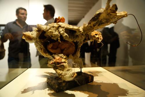 582453_119313264923504_50470001_n