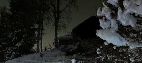 2024_art_photo_brogard