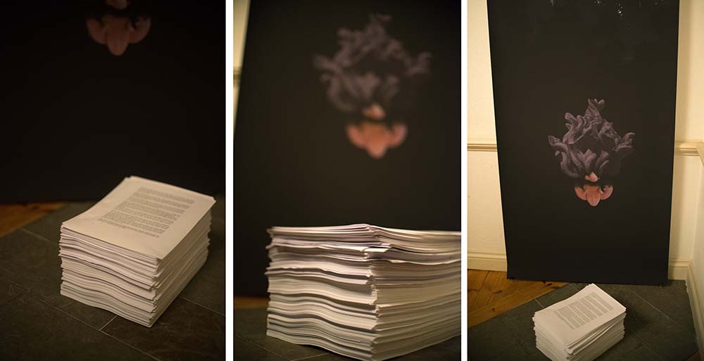 art_ravinen_install