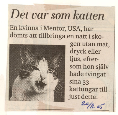 Collision_cat