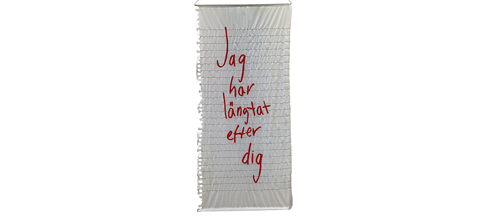 jagharsaknatdig_rensad