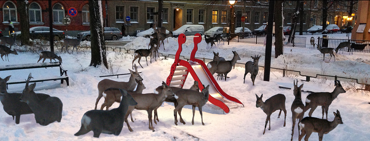 mariatorget_radjur02