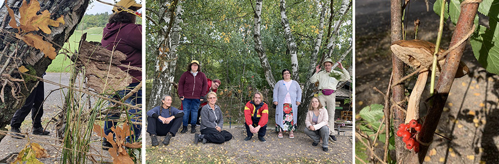 forelasning_2021_skog