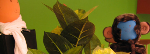 text_enfika